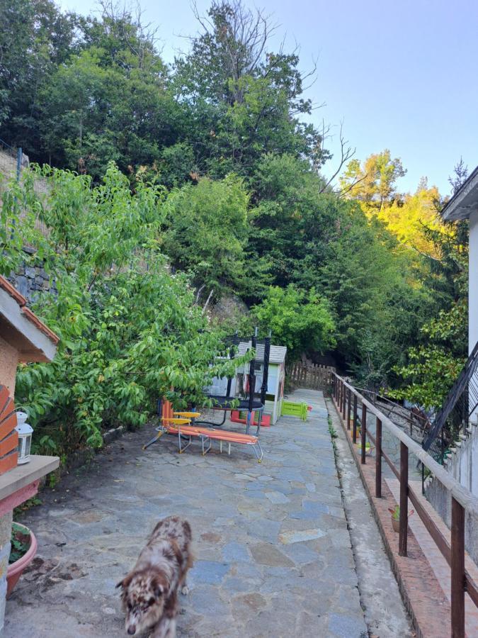 Apartament The Giaggiolo'S House Serra Rocco Zewnętrze zdjęcie